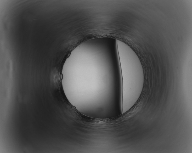X0000095550624200712140936