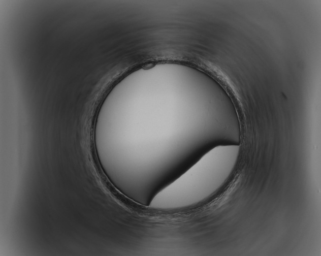 X0000095550625200712140936