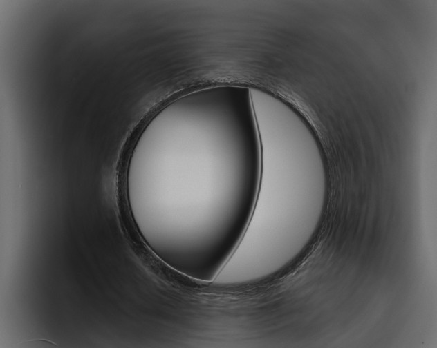 X0000095550626200712140936