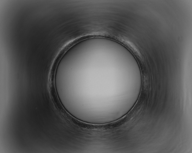 X0000095550628200712140936