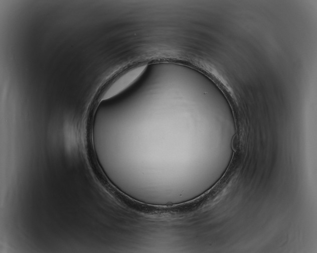X0000095550629200712140936