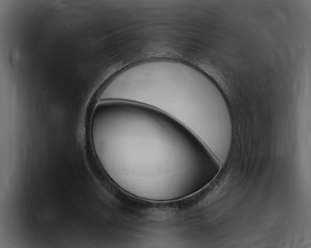 X0000095550630200712140936