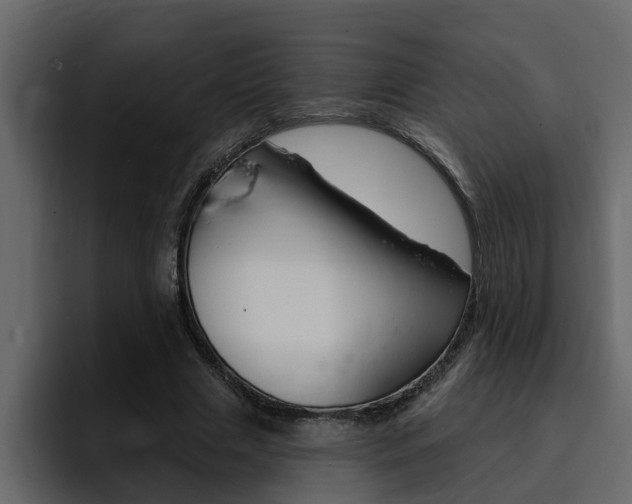 X0000095550633200712140936