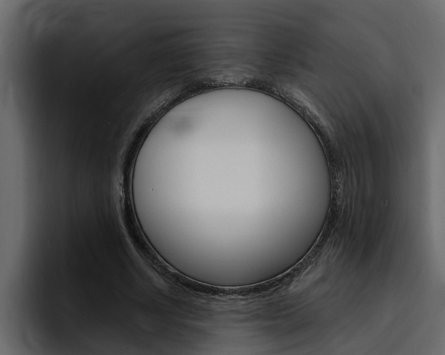 X0000095550634200712140936