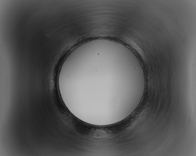 X0000095550635200712140936