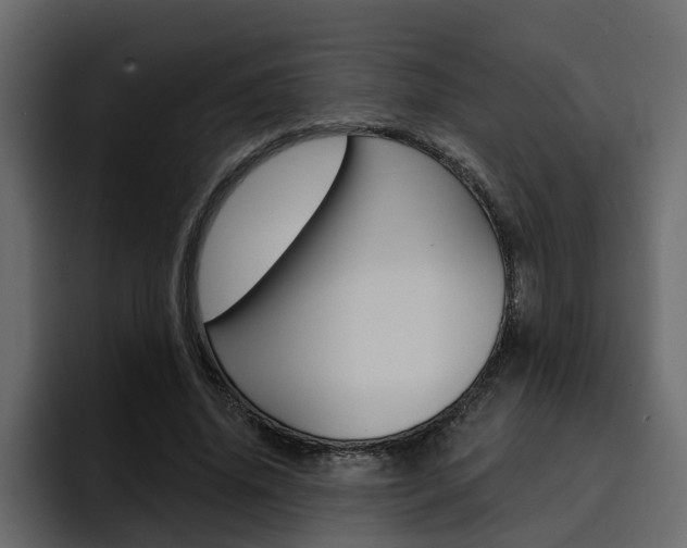 X0000095550636200712140936