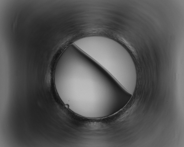 X0000095550637200712140936
