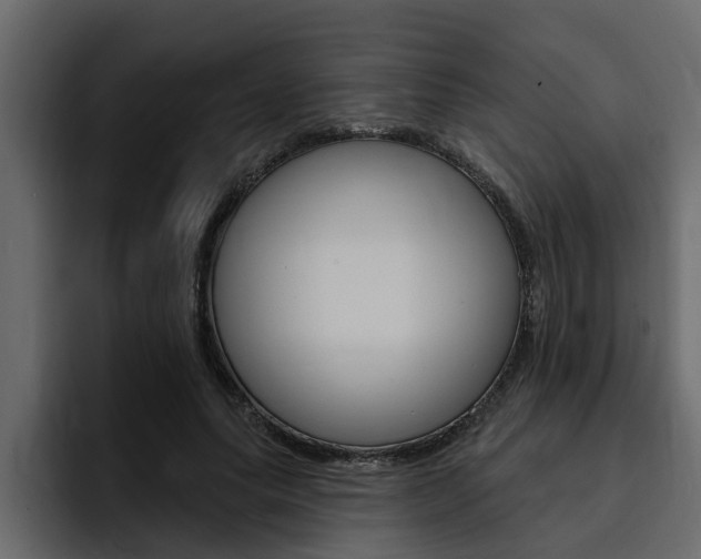 X0000095550639200712140936