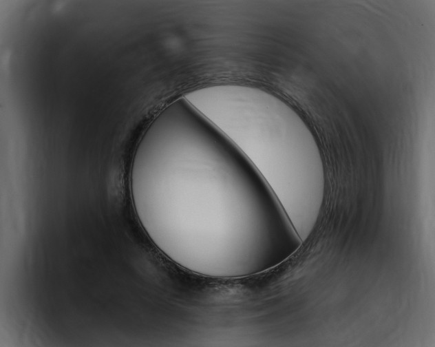 X0000095550642200712140936