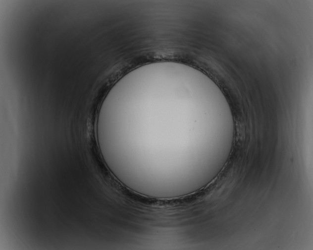 X0000095550648200712140936