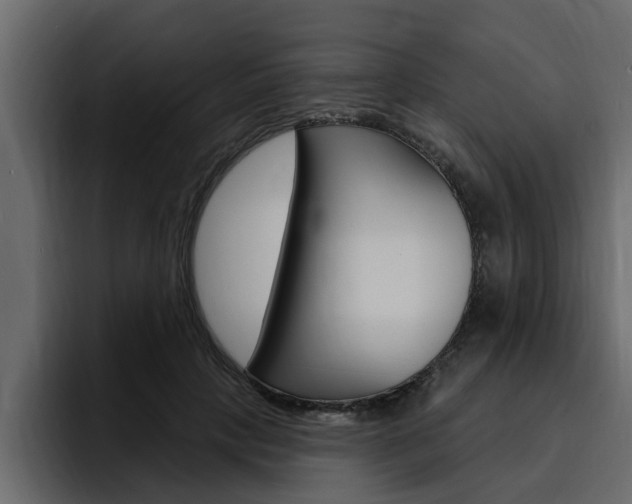 X0000095550649200712140936