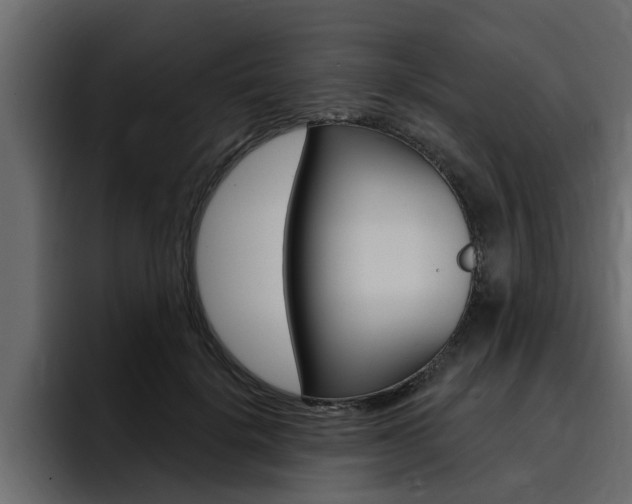 X0000095550652200712140936