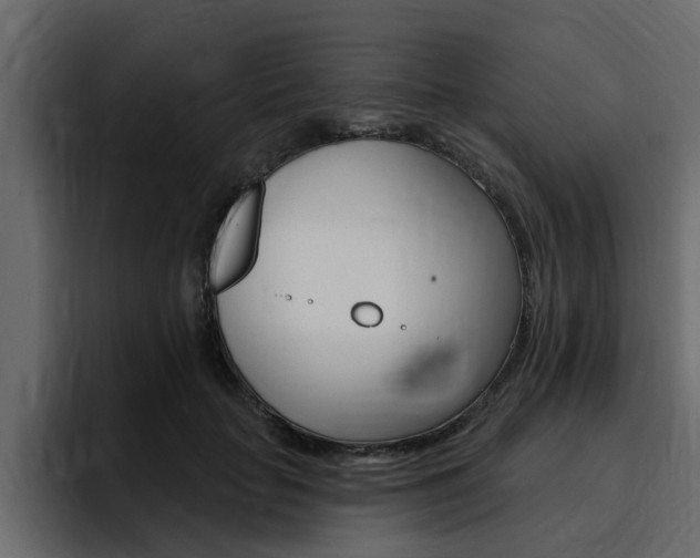 X0000095550653200712140936