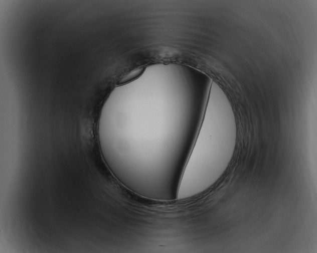 X0000095550654200712140936