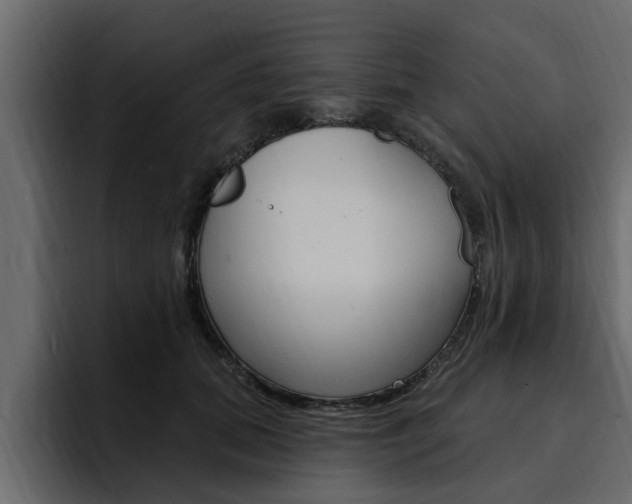 X0000095550655200712140936