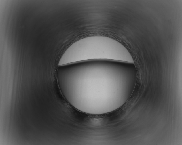 X0000095550658200712140936