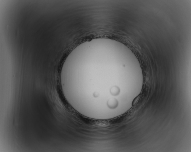 X0000095550659200712140936