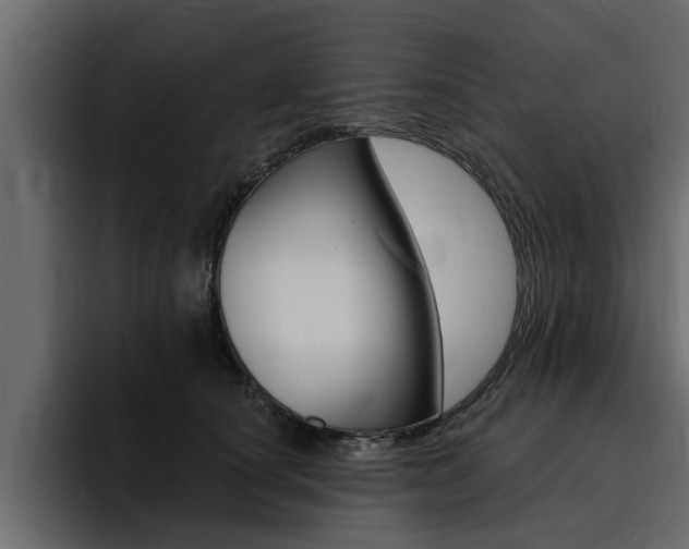 X0000095550660200712140936