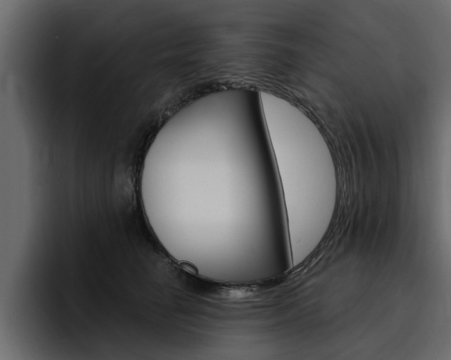 X0000095550662200712140936
