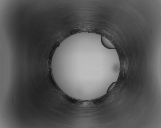 X0000095550663200712140936