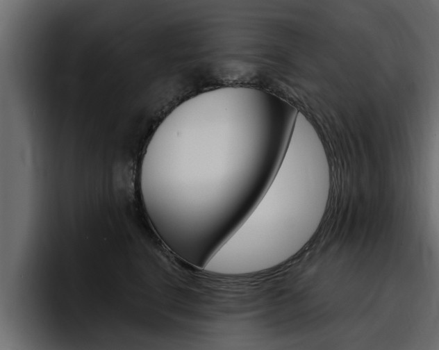 X0000095550664200712140936