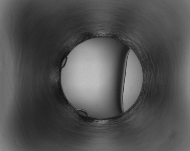 X0000095550665200712140936