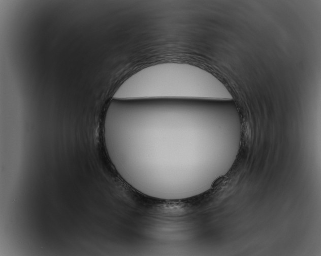 X0000095550668200712140936