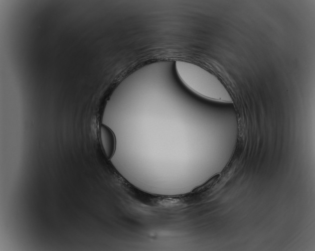 X0000095550669200712140936