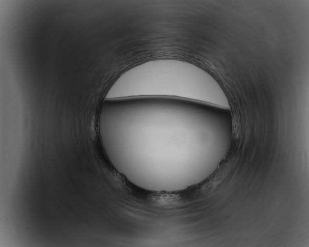 X0000095550670200712140936