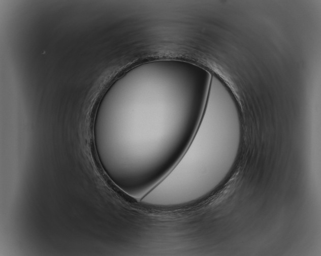 X0000095550673200712140936