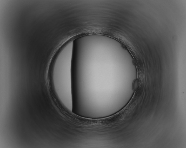 X0000095550674200712140936