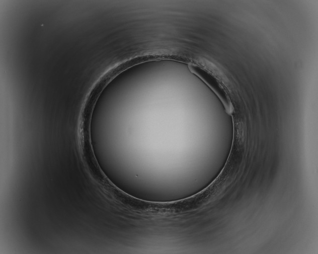 X0000095550676200712140936
