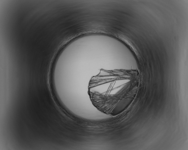 X0000095550677200712140936
