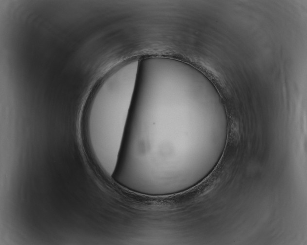X0000095550678200712140936