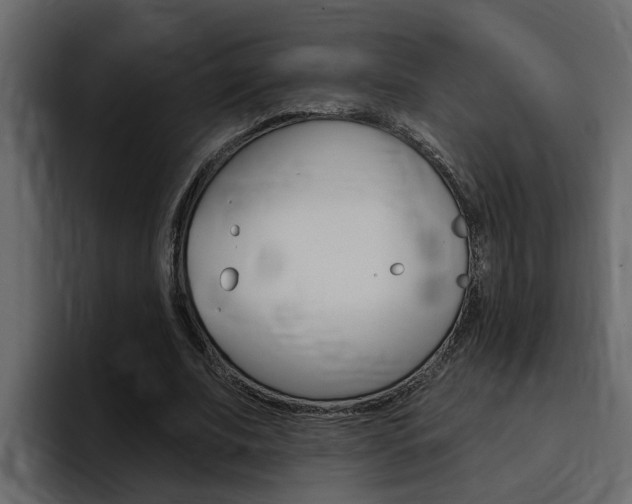 X0000095550679200712140936