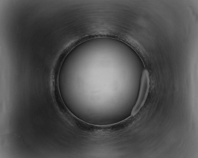 X0000095550680200712140936