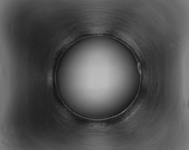 X0000095550681200712140936