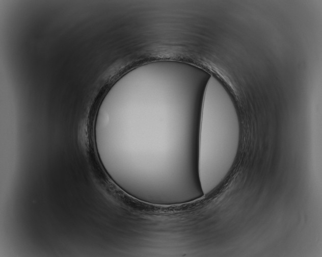 X0000095550682200712140936