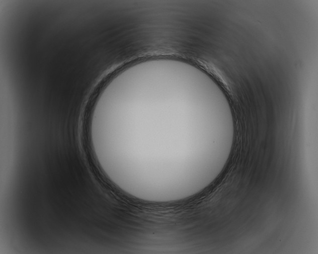 X0000095550684200712140936