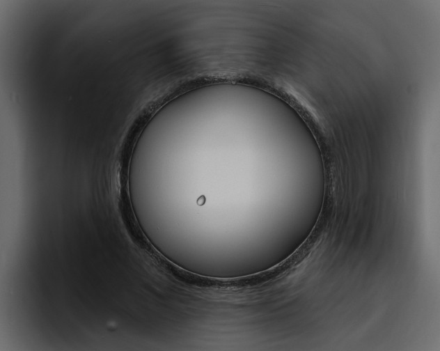 X0000095550685200712140936