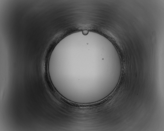 X0000095550686200712140936