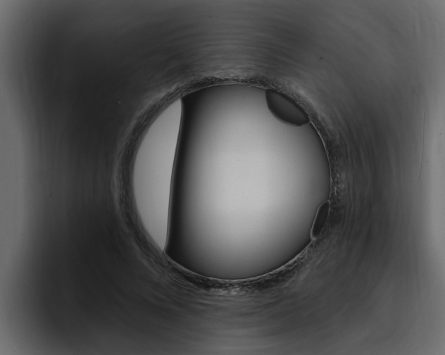 X0000095550688200712140936