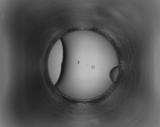 X0000095550690200712140936