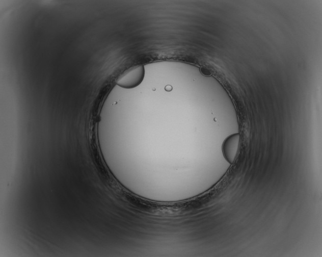 X0000095550691200712140936