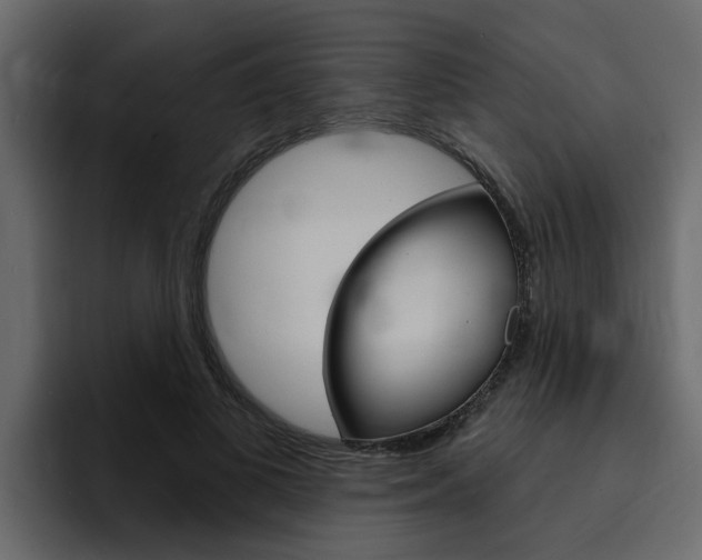 X0000095550693200712140936