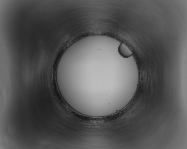 X0000095550694200712140936