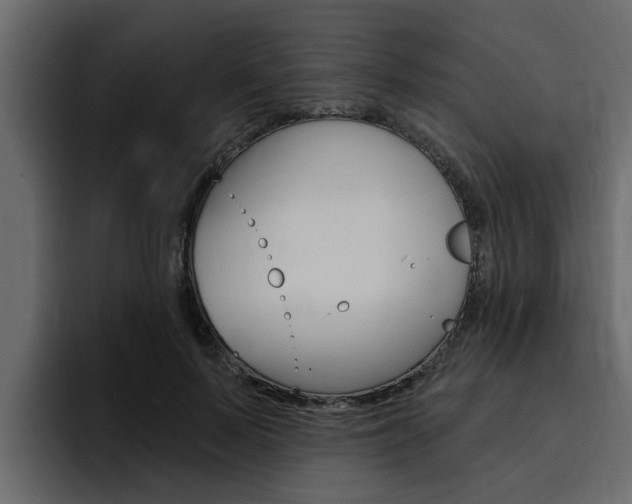 X0000095550695200712140936