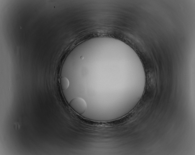 X0000095550698200712140935