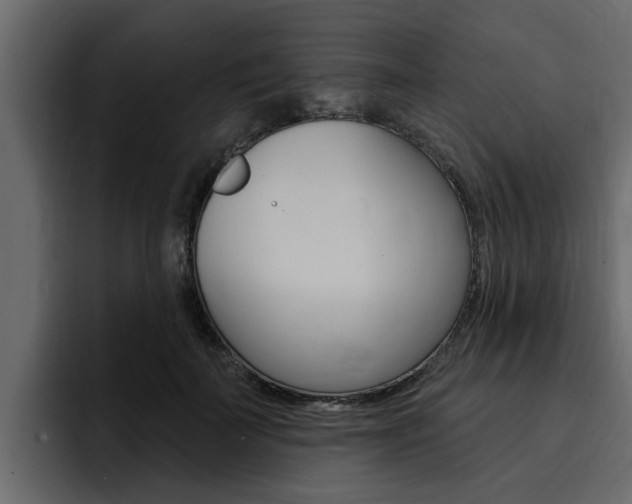 X0000095550699200712140935
