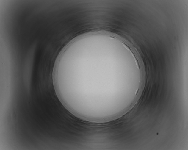 X0000095550701200712140935